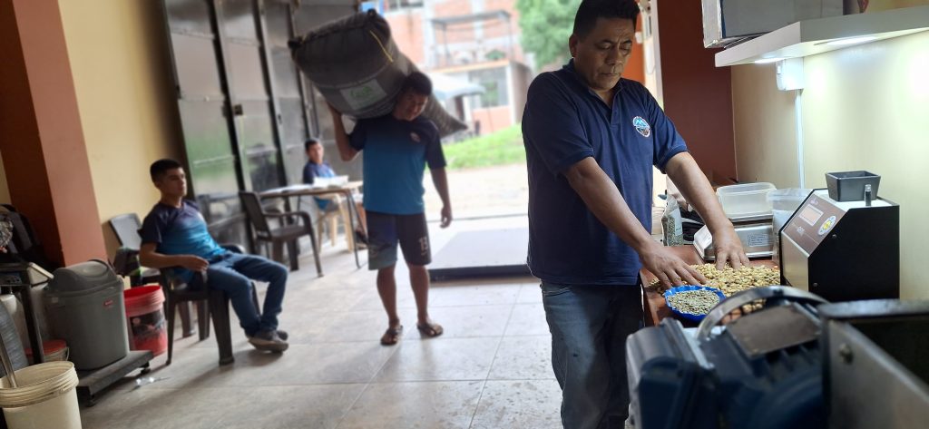 Recepción del café en acopio