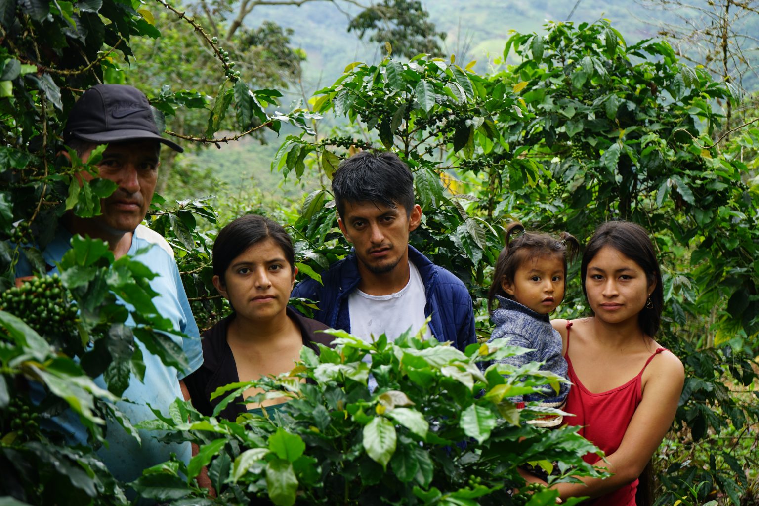 Familia productora en su cafetal